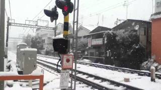 雪が降りしきる井の頭線西永福1号踏切を通過する急行 Snow Inokasira Line