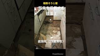 ※閲覧注意　死臭を吸着する珪藻土　孤独死（78歳男性）#shorts