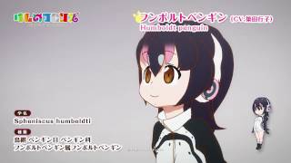 TVアニメ『けものフレンズ』ショートムービー　フンボルトペンギン篇