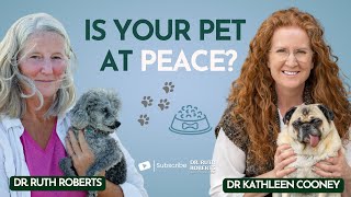 Peaceful Goodbyes: Everything You Need to Know About Pet Euthanasia