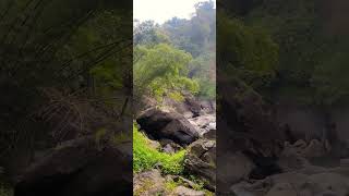 Soochipara water falls #wayanad #kerala