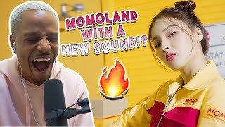 Reacting to MOMOLAND - Thumbs Up MV