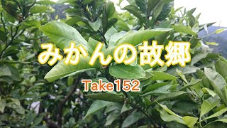 みかんの故郷 take152 元歌：大江裕