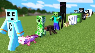 Minecraft but I can Tame All Mobs