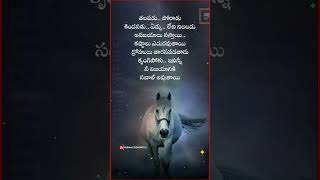 తలపడు,పోరాడు,కిందపడు,ఏడ్చు,లేచి నిలబడు 🤟|Don't fight, don't fall down, cry, stand up 🤟|Shorts|