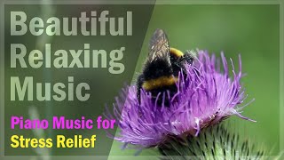 Beautiful Relaxing Music - Vol.024 ~ Piano Music for Stress Relief