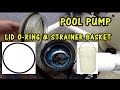 Pool Pump Strainer Basket and Pump Cover O-Ring Replacement - Pentair Pump