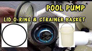 Pool Pump Strainer Basket and Pump Cover O-Ring Replacement - Pentair Pump