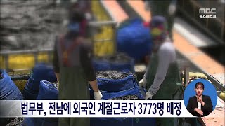 법무부, 전남에 외국인 계절근로자 3773명 배정[목포MBC 뉴스데스크]