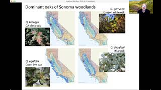 Climate Change Impacts on California Biodiversity with David Ackerly