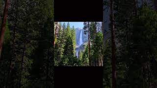 Yosemite - America's Most Spectacular National Park#travelinspiration #shorts #travel