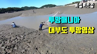 서해투망22편/\