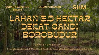 LAHAN 3.5 HEKTAR SHM DEKAT CANDI BOROBUDUR #tanahmurah #tanahbagus #tanahstrategis