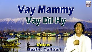 Vay Mammy Vay Dil Hy | Romantic Kashmiri Song | Bashir Tailbali | Ker Nam Dagayie | Kashmir Valley