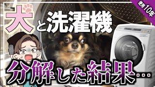 【飼い主必見】ペットのいるご家庭のドラム式洗濯機を分解した結果