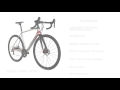 vitus vitesse evo disc overview