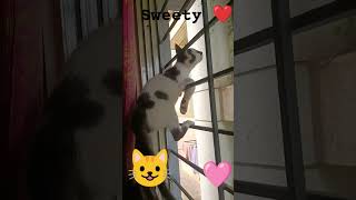 Sweety cute 🥰🥰🥰🥰🩷🩷❤️❤️❤️