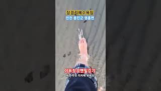 맨발걷기 장경리해수욕장 인천 옹진군 영흥면 인천맨발걷기운동본부옹진군지회장 촬영감독 최근근황 최초공개하면 생기는일 #shorts