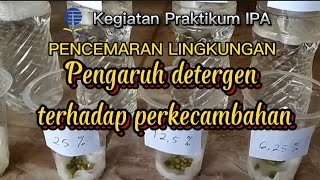 Kegiatan Praktikum: Pengaruh Detergen terhadap Perkecambahan Kacang Hijau - Universitas Terbuka