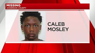 Deputies searching for missing teen