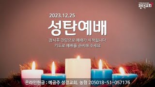 평택교회(성결) 12월 25일 성탄축하예배