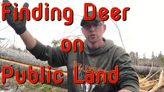 Finding Deer on Public Land