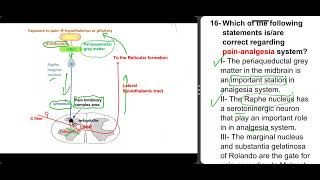 CNS301 - L3 - Q16