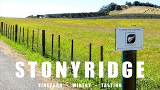 STONYRIDGE VINEYARD - Fat Freddy's Drop Edition!