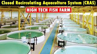 Closed Recirculating Aquaculture System (CRAS) | RAS Fish Farming | Modern Fish Farming Technology