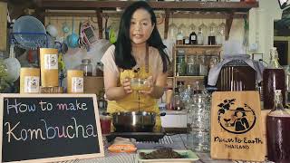 วิธีทำ คอมบูชา ที่ง่ายที่สุดในสามโลก  The Easiest Way to Make Kombucha  - Down To Earth Thailand