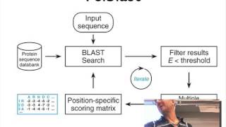 Discussion about multiple sequence alignments