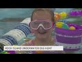 Unique underwater Easter egg hunt held in Rock Island pool