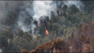 Пожары в Аргентине уничтожили за сутки более 3 тысяч га леса