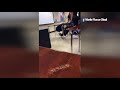 video shows teacher humiliating haitian student