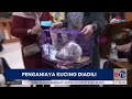 3 Mahasiswi Cekoki Miras ke Kucing Divonis 2 Bulan Penjara