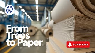 From Tree to Paper: The Fascinating Journey of Papermaking