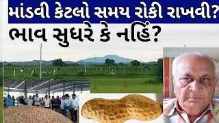 મગફળી કેટલો સમય રોકવી? બજારમાં સુધારાની શરૂઆત ક્યારે થાય? નવી સિઝન વાવણી કરવી કે નહિં?