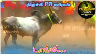 தமிழகத்தில் தலைசிறந்த  இரண்டு மாடுகள் திருச்சி மாவீரன் PR சுரேஷ் அவர்களின் டாங்லி(VS) KD செவலை