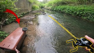 Urban BFS Fishing for Trout Manchester City Centre (Stunning Fish)