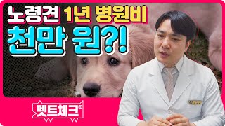 원장님! 노령견 1년 병원비가 천만 원 나온다는데 사실인가요?