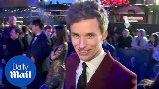 Eddie Redmayne talked to sheep for role Fantastic Beasts