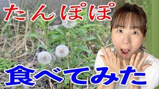 【食糧危機】たんぽぽ 味噌汁 作り方♪初心者さん向け 簡単 お料理 動画