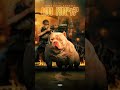 Tino Mr. AK-47 Clip - Luna Coria Kennel | Daxline Santino X Champagne Lady - Whats In Your Pedigree?