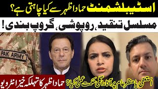 Exlcuisve Interview Of PTI Leader Hammad Azhar With Samina Pasha