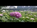 暑いですね～（vol.1425