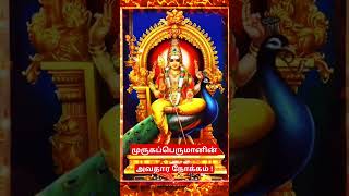 முருகப் பெருமானின் அவதார நோக்கம் ! #shorts #shortsfeed #shortvideo #trending #murugan #sevvai #tamil