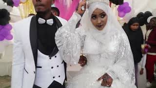 oromo weding in ethiopia 2025 best of best