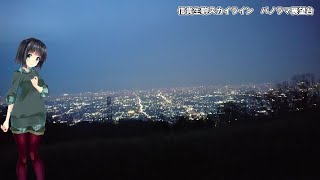 【3月展望台巡りから信貴山観光(4)】信貴生駒スカイライン　パノラマ展望台の夜景（ゴープロ11ナイトラプス）