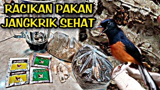 MASIH BANYAK YANG BELUM TAU CARA BUAT RACIKAN PAKAN JANGKRIK‼️