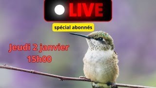 Live du janvier